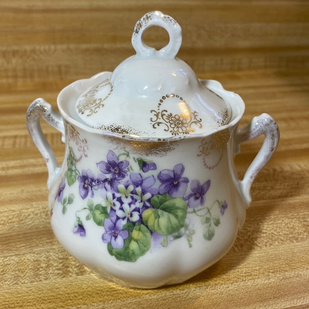 Antique Bavaria Hand Painted Sugar Dish with Lid